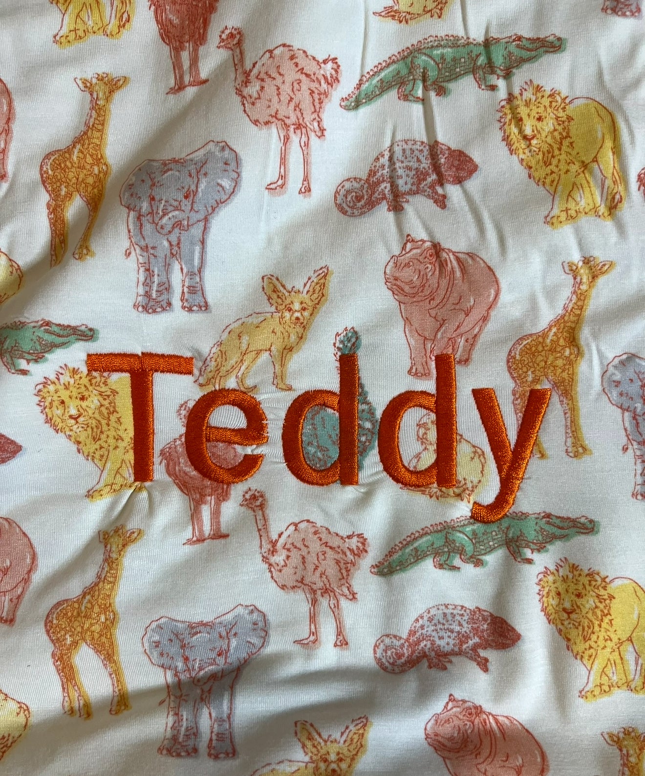 🌙 Rayn’s Tiny Stitches Sleep Sack Collection-Personalized Sleep Sacks