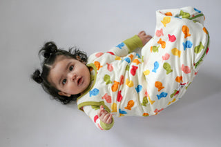 My First Snack Sleep Sack | Cozy Zip-Up Baby Wearable Blanket | Rayn’s Tiny Stitches
