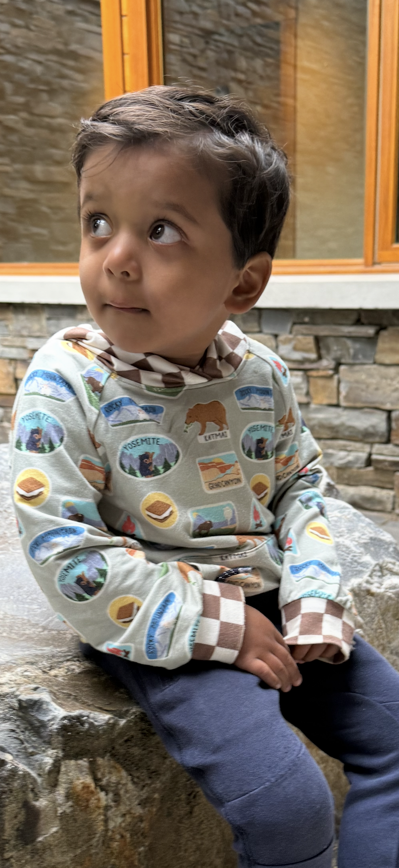 national parks bamboo hoodie for toddlers
