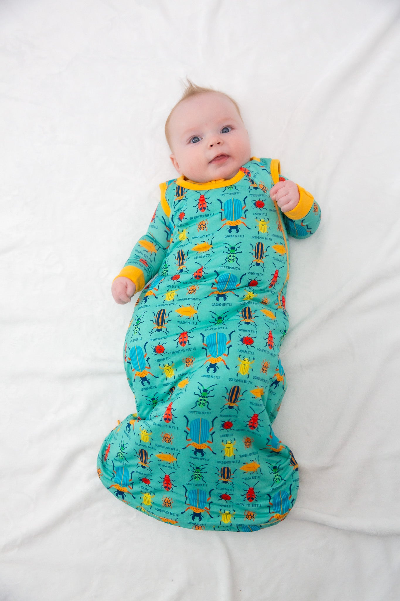 Baby in a colorful sleeping bag with a white background